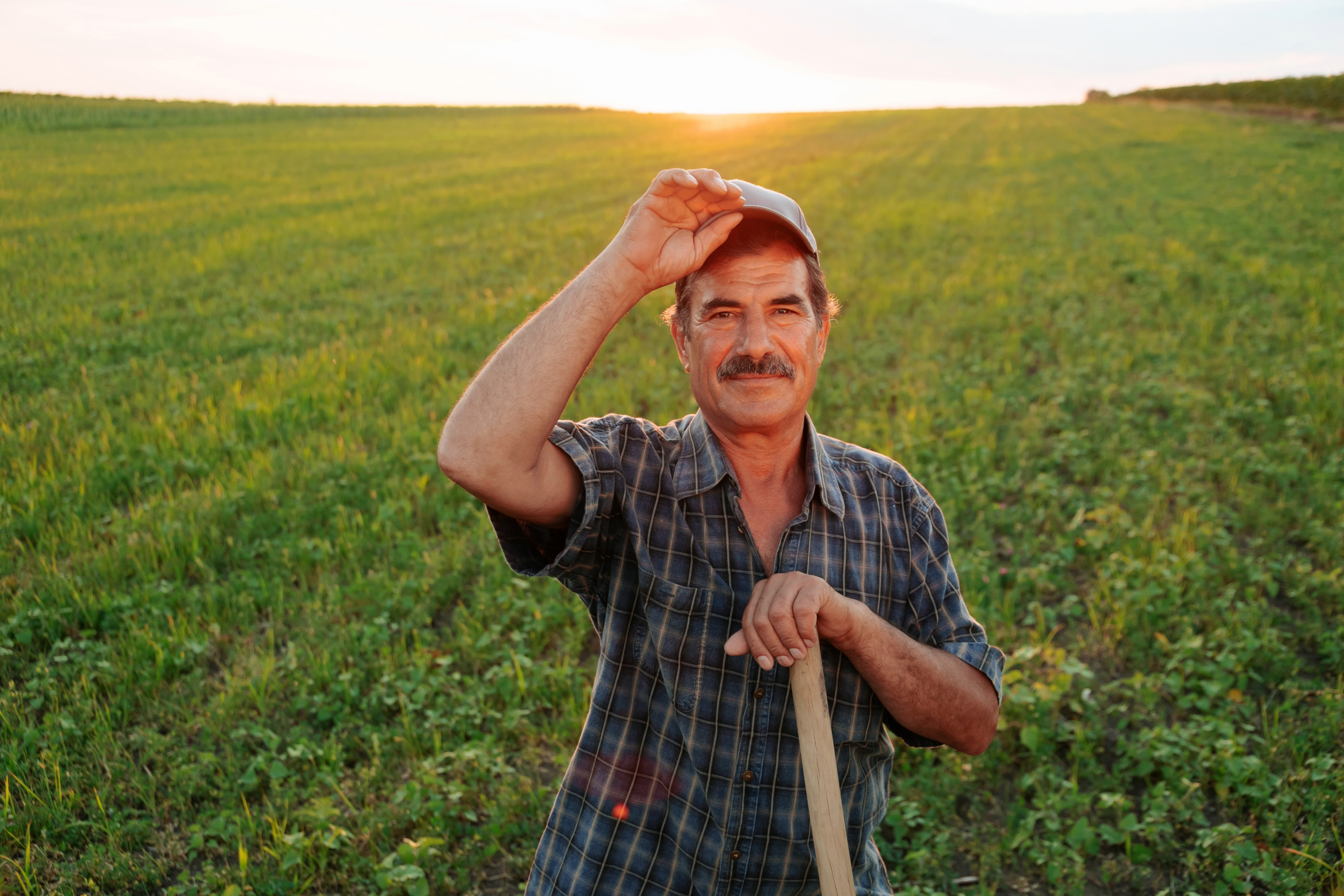 Farmer standing in a field, looking at the camera, representing sustainable farming and small farms in England