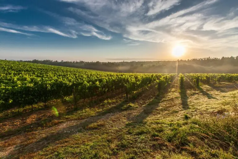 Unpredictable weather patterns, including droughts, heavy rainfall, and temperature fluctuations, significantly affect crop yields, farming operations, and resource management, posing major challenges for UK farmers in 2025. Fentech Agri offers farming machinery aligned with sustainable practices to help farmers adapt, improve efficiency, and manage weather-related risks.